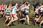 Senior womens 2019 British Athletics Inter Counties Cross Country, Prestwood Hall, Loughborough. Photo:  David T. Hewitson/Sports for All Pics